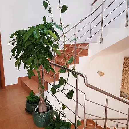 Casa Lotka Năvodari